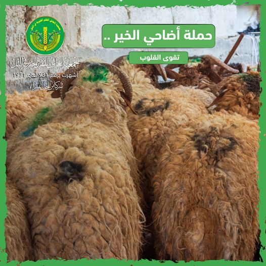 حملة أضاحي الخير 💚